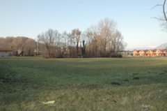 ultimo prato via Enrico Fermi