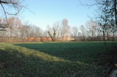 ultima zona verde