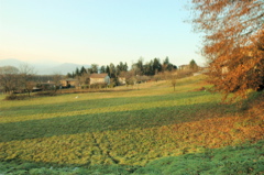 via alcide de Gasperi Barza ci vuole coragio rovinare questo posto