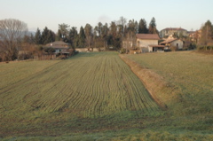 via Alcide de gasperi