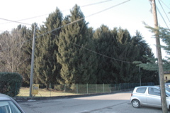 futuro parcheggio via G.leopardi